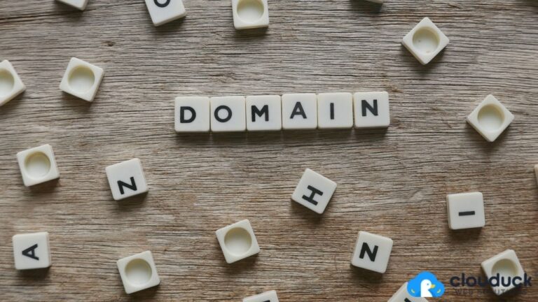 Domain ve Hosting Alma